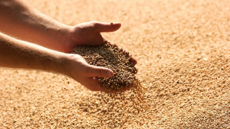 la Mauritanie sécurise son stock de blé