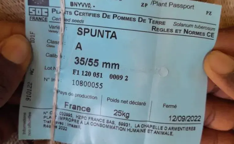 Mauritanie : mise en garde contre des pommes de terre impropres à la consommation mises sur le marché
